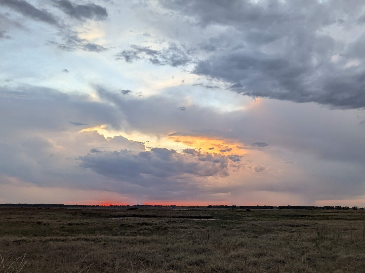 Southwest Kansas spring birding&nbsp;trip
