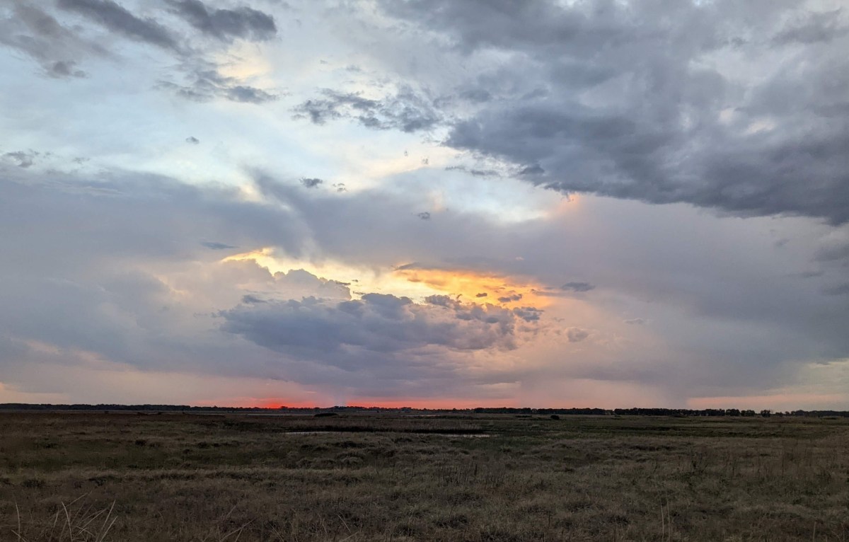 St. George Ks Spring Southwest Kansas spring birding trip – BirdingBDandBeyond